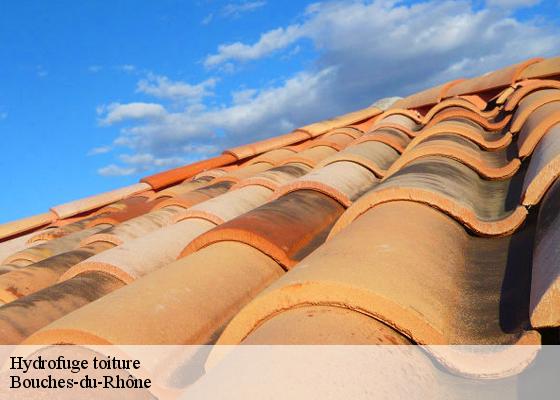 Hydrofuge toiture Bouches-du-Rhône 