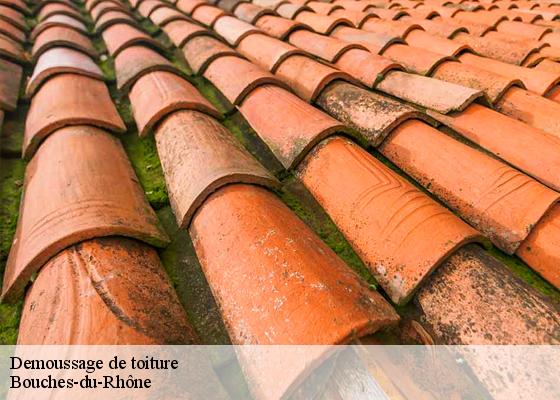 Demoussage de toiture Bouches-du-Rhône 