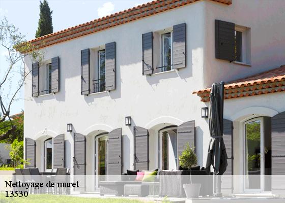 Nettoyage de muret 13530