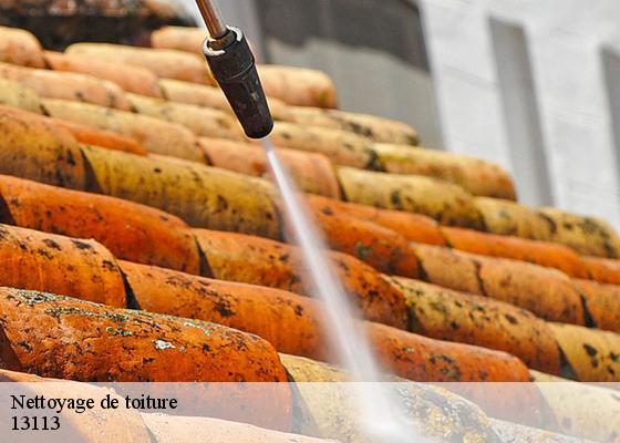 Nettoyage de toiture 13113