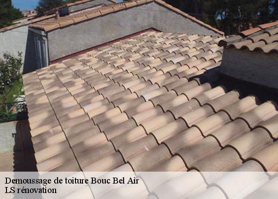 Demoussage de toiture