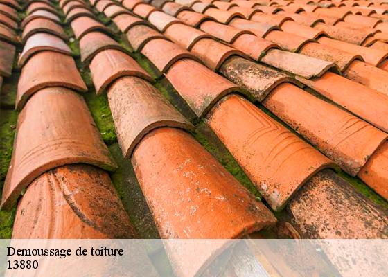 Demoussage de toiture  13880
