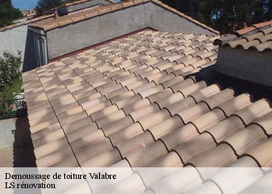 Demoussage de toiture