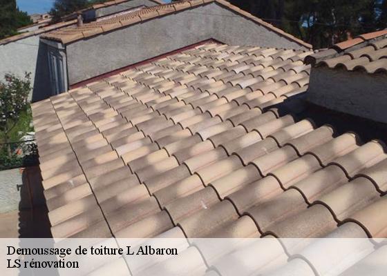 Demoussage de toiture